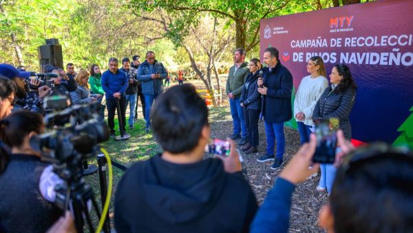 Monterrey-centros-recolección-pinos-de-navidad