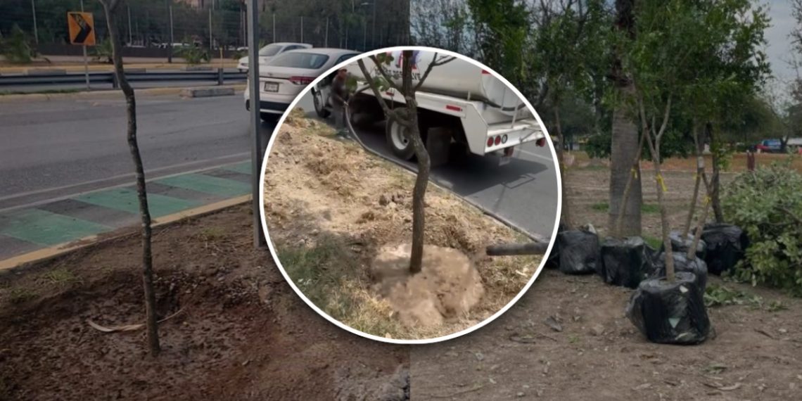 Monterrey - Adelante Mty