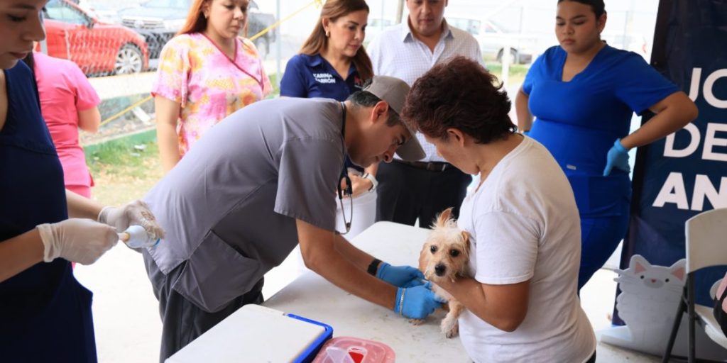  Campaña-de-bienestar-animal-monterrey