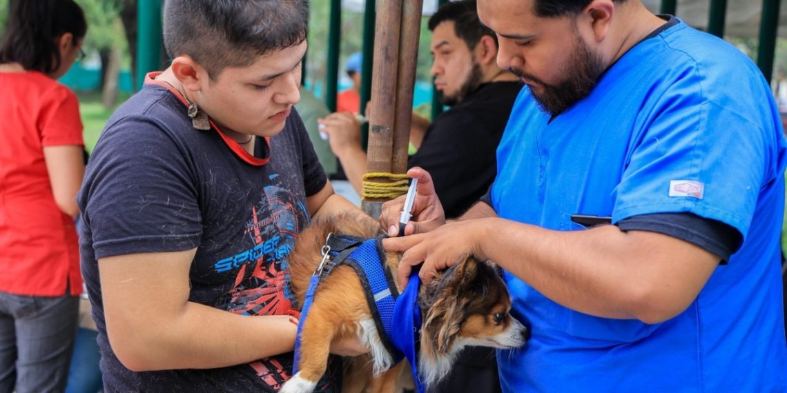 Efectúa Monterrey Feria De Bienestar Animal En El Parque Lincoln-adelante Monterrey - Adelante Mty Bienestar-animal-en-monterrey-y-jornada-de-esterilización - Adelante Mty