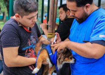 bienestar-animal-en-monterrey-y-jornada-de-esterilización
