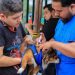 Efectúa Monterrey Feria De Bienestar Animal En El Parque Lincoln-adelante Monterrey - Adelante Mty Bienestar-animal-en-monterrey-y-jornada-de-esterilización - Adelante Mty