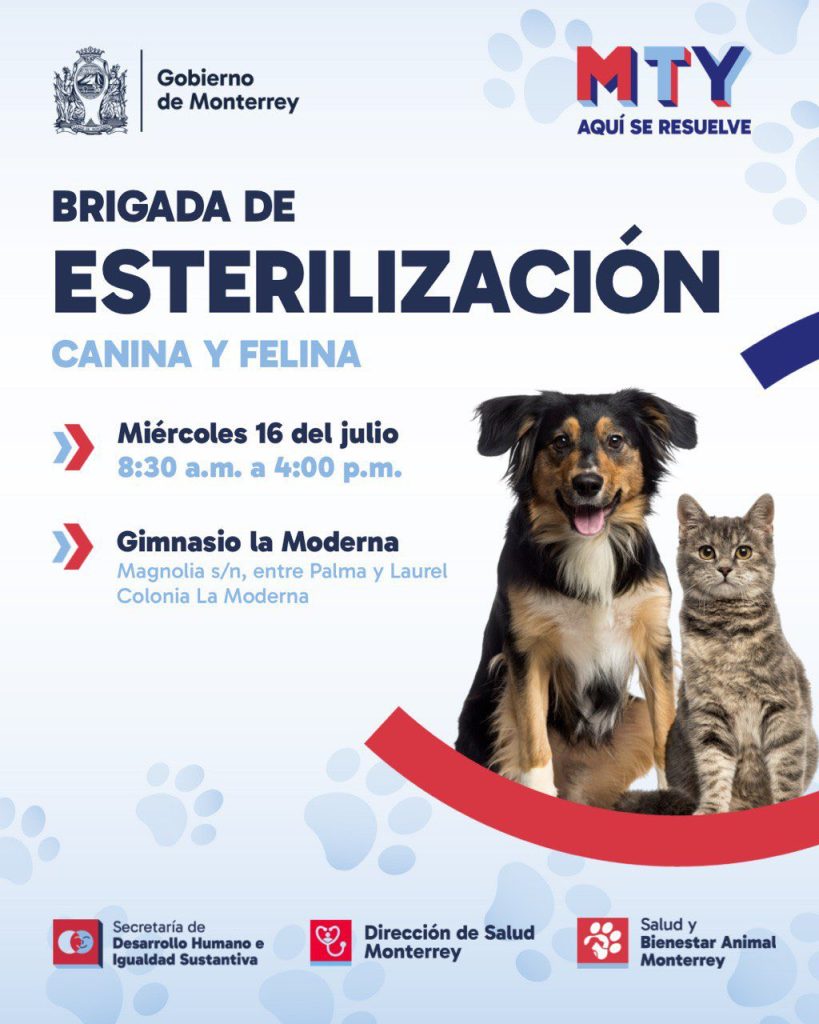 Esterilización - Adelante Mty Jornada-de-esterilización-y-bienestar-animal-de-monterrey