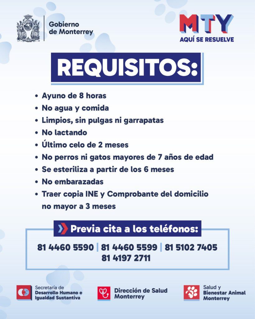 Esterilización Requisitos - Adelante Mty Bienestar-animal-jornada-de-esterilización