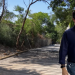 Man in a Navy Shirt and Jeans Walks Along a Sunny, Tree-lined Walkway with a Wire Fence on the Left, Suggesting a Construction Area. - Adelante Mty