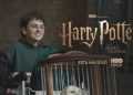Boy with Glasses in a Green Hoodie Smiles While Pushing a Cart, in Front of a Harry Potter Promotional Backdrop with Hbo Max Branding. - Adelante Mty